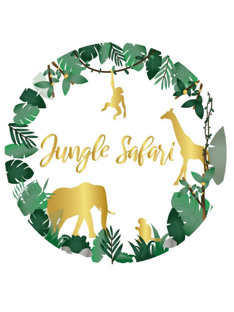 Kit Anniversaire Jungle Safari X1 Decoration De Fete Anniversaire Safari