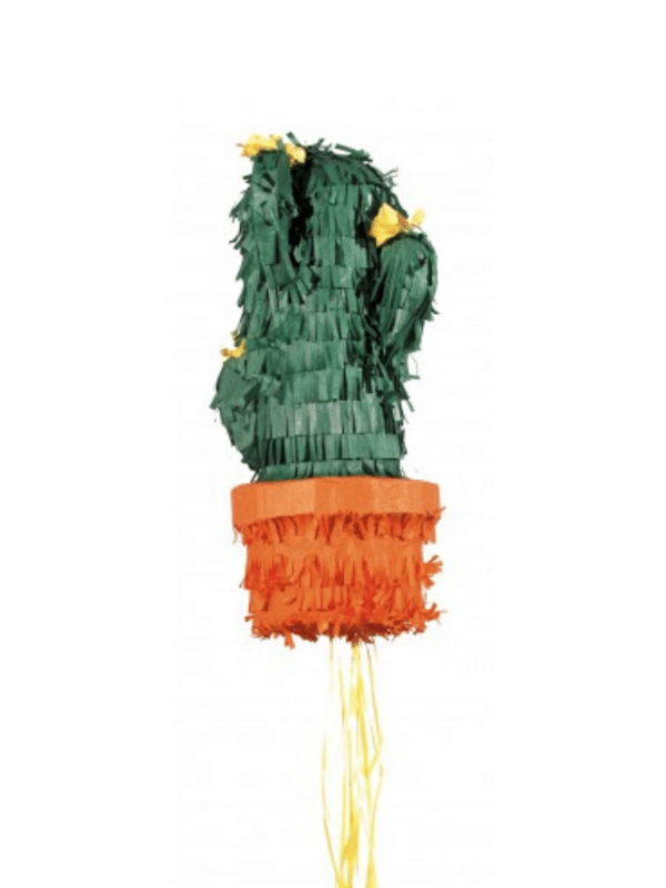 pinata cactus