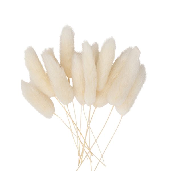 12 mini branches de chatons crème 9cm - Arty fêtes Factory décoration baptême mariage bohème