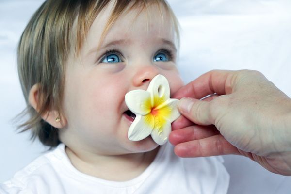 Mini jouet de dentition chewy - Hawai la fleur - Oli & Carol
