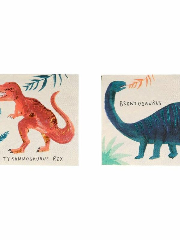 Petites serviettes 8 Dinosaures avec nom x16 - Meri Meri décoration fête anniversaire