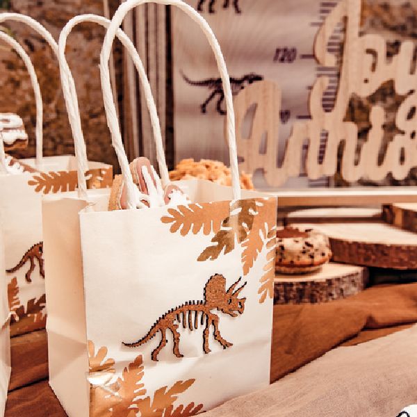 sac cadeau dinosaure camel et or